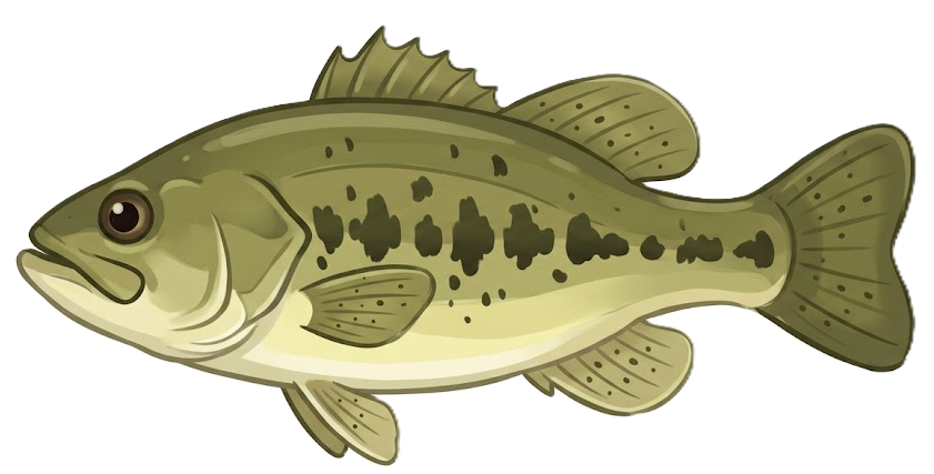 釣り上げた魚